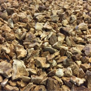 Achicoria, Raiz Trit.(Cichorium intybus)