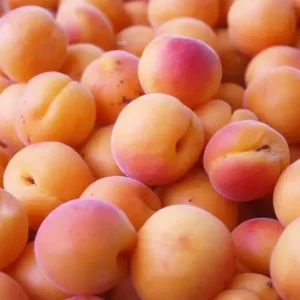 Albaricoque ecológico Al Peso, 100 grs