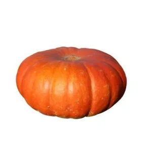 Calabaza Potimarrón Ecológica