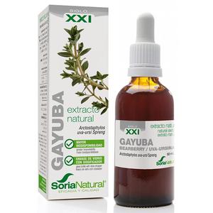 Extracto de Gayuba Fórmula XXI, 50ml. Soria Natural