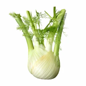 Hinojo Ecológico, 1 unidad