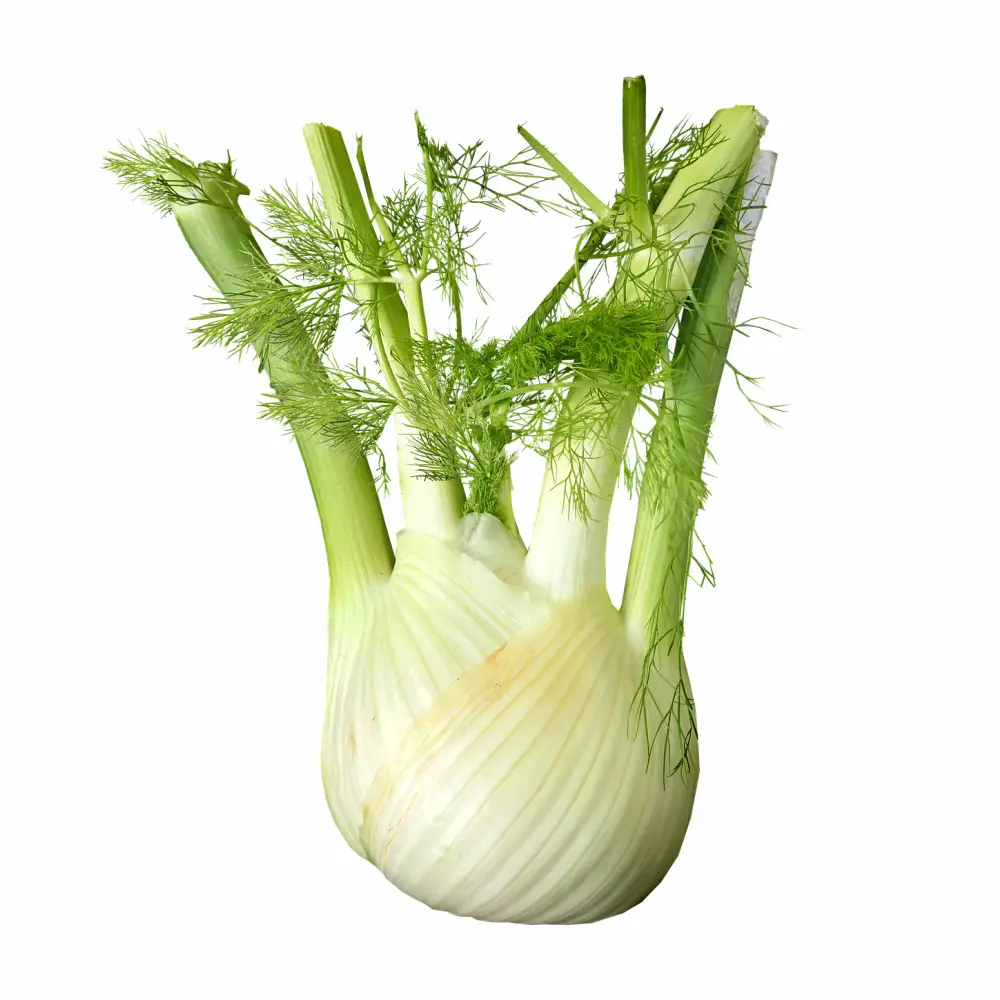 Hinojo Ecológico, 1 unidad