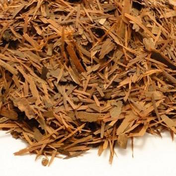 Pau d´arco / Lapacho, Planta Trit. (Handroanthus serratifolius)