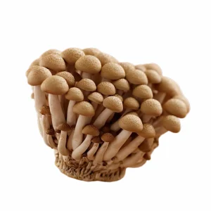 Shimeji Marrón Fresco – Bandeja 150 g