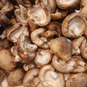 Seta Shiitake Ecológica (100 grs aprox.)