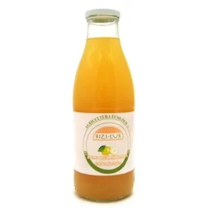 Zumo de Manzana Ecológico Bizilur, 1 L