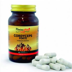 Cordyceps Forte, 60cap. Pámies Vitae