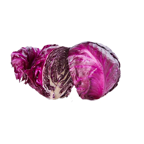 Col lombarda Ecológica, unidad