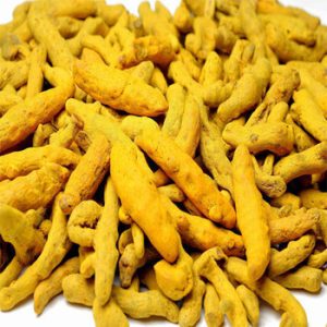 Cúrcuma, Raíz entera seca (Curcuma Longa)