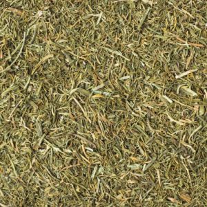 Eneldo, hojas (Anethum graveolens).