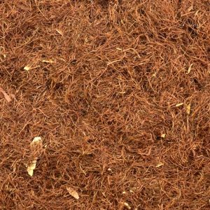 Estigmas de Maíz, Hierba Trit. (zea mays)