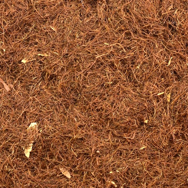 Estigmas de Maíz, Hierba Trit. (zea mays)