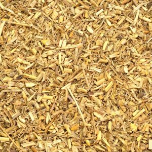 Grama Raíz Trit. (Cynodon dactylon)