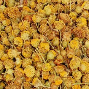 Manzanilla Amarga (Mahón), Flor (Santolina chamaecyparissus L) BIO