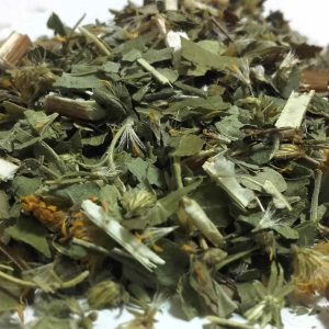 Vara de Oro o Solidago (Solidago virgaurea)