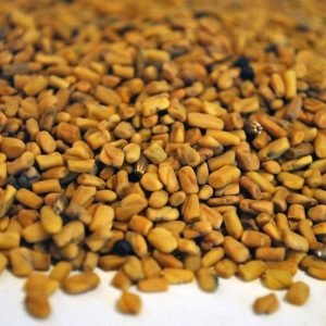 Alholva o Fenogreco, semilla (Trigonella foenum-graecum)