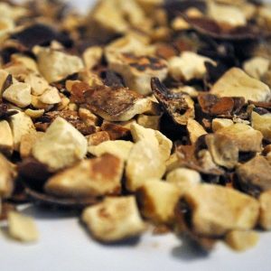 Castaña de Indias, Fruto Trit. (Aesculus híppocastanum)
