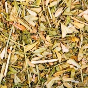 Bolsa de Pastor, Trit (Capsella bursa-pastoris)