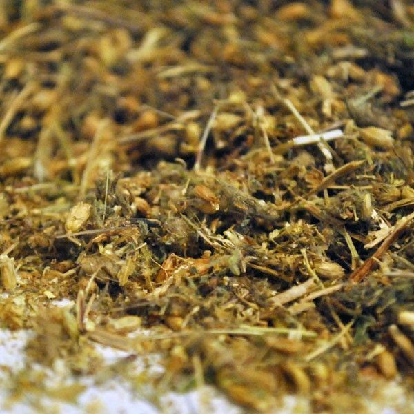 Milenrama, Flor (Achillea millefolium)