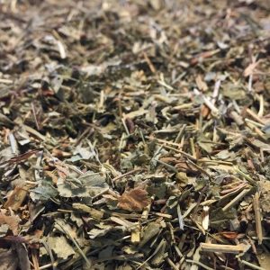 Pie de león (Alchemilla vulgaris).