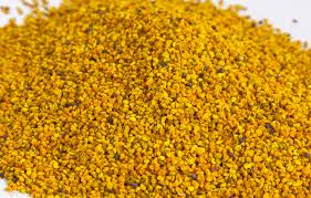 Polen de abeja. Val de Xálima.