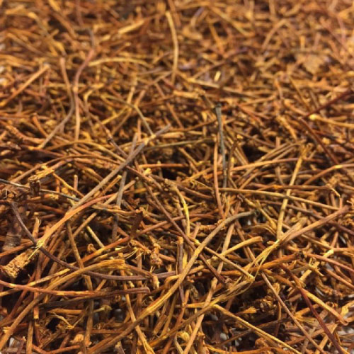 Rabos de cereza (Prunus cerasus L.)