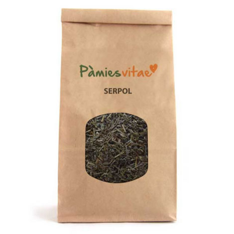 Serpol, hojas (Thymus serpyllum). Pàmies Vitae