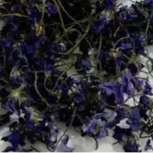 Violeta (Viola Odorata)