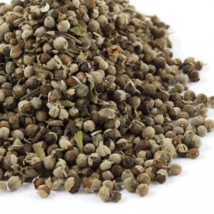 Vitex-Sauzgatillo (Vitex Agnus-castus).