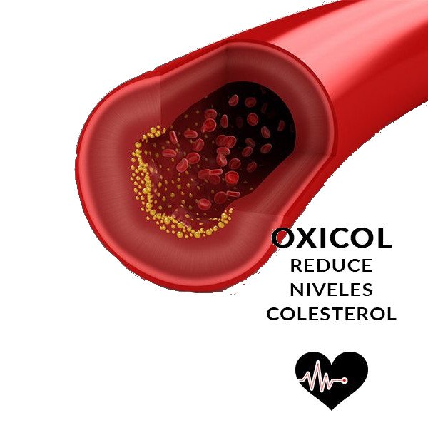 Oxicol Plus Omega, 28 Cápsulas - Imagen 2