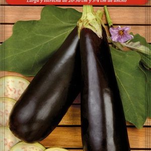 Semillas Berenjena Larga Negra