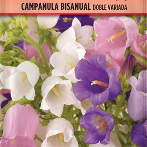 Semillas Campanula Bisanual Flor Grande Doble Variada
