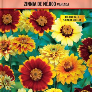 Semillas Zinnia de Méjico variada