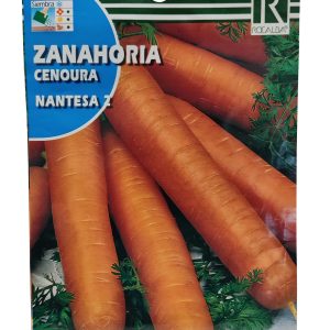 Semillas Zanahoria Cenoura Nantesa 2