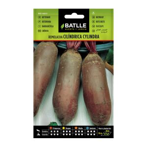 Semillas Remolacha Mesa Cylindra