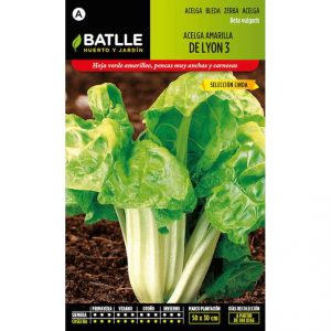 Semillas acelga amarilla de lyon seleccion linda