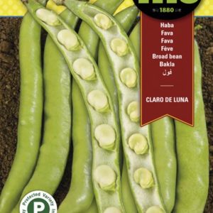 Semillas Haba Claro De Luna Fito   250 Gr.