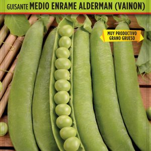 Semillas Guisante Medio Enrame Alderman (vainon) 1Kg