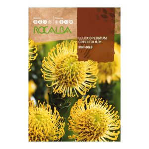 Semillas Protea Leucospermum Cordifolium