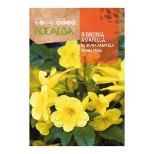 Semillas Bignonia Amarilla