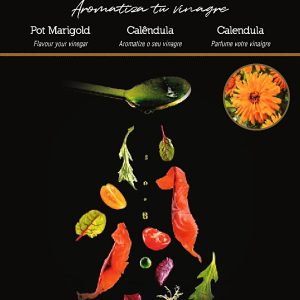 Semillas Flores Comestibles Caléndula Flower Groumet