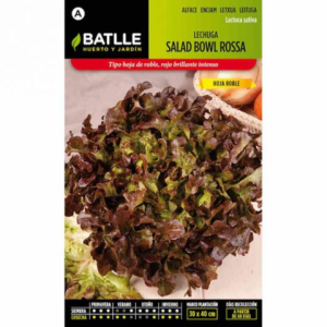Semillas Lechuga Hoja De Roble Roja