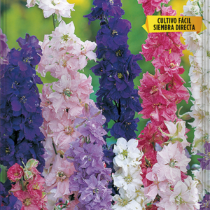Semillas Espuela Delphinium Doble Variada Delphinium ajacis